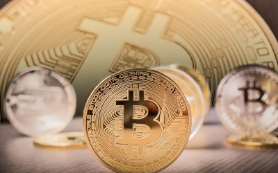 Hire a Bitcoin Recovery Expert